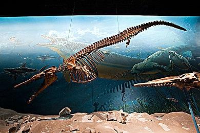 《天国：拯救2》没有硬件光追 主机目标是60帧